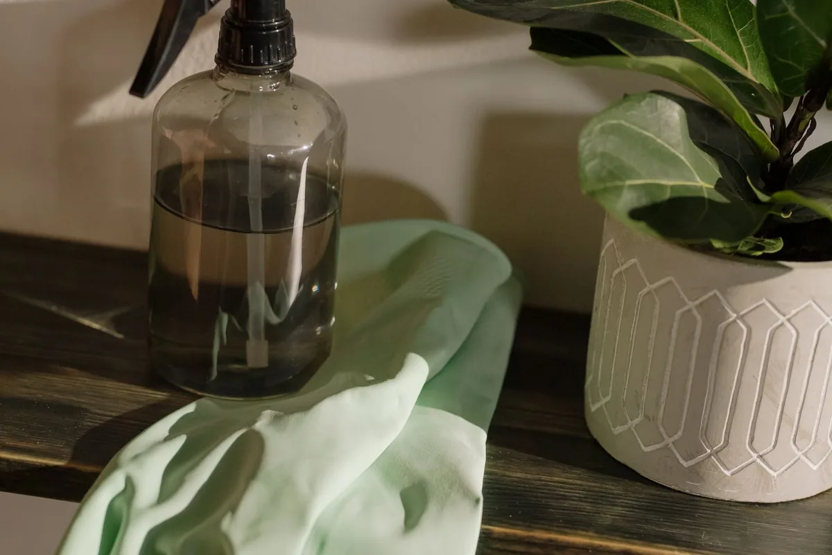 Infectious Disease Disinfection in Country Homes, WA